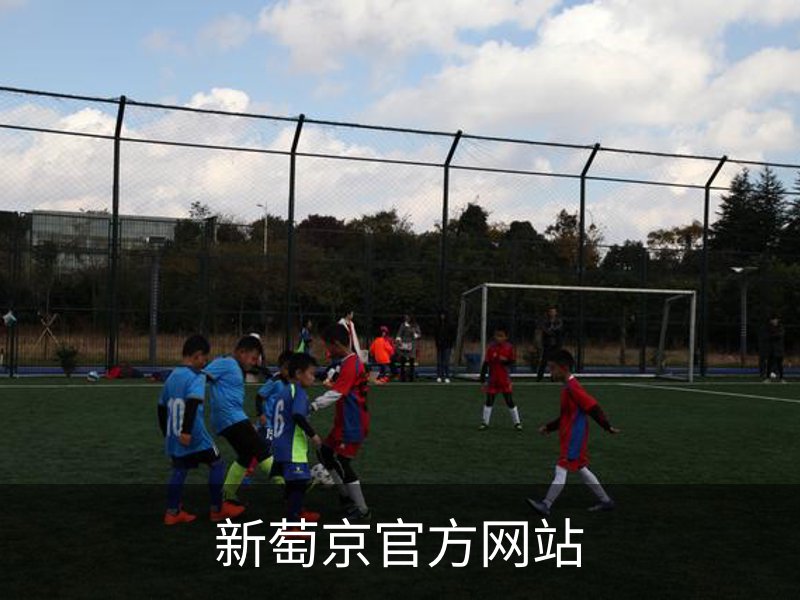 了解新萄京官方网站